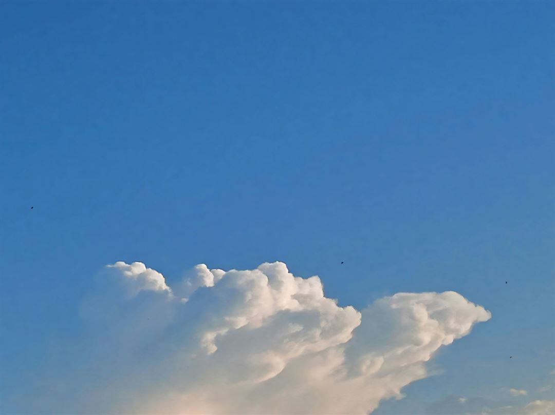 Cloud vs. On-Premise